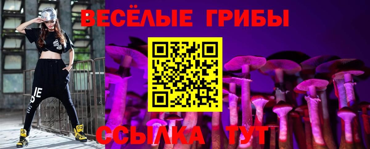 Галлюциногенные грибы MAGIC MUSHROOMS  Вход с VPN  Отрадный 