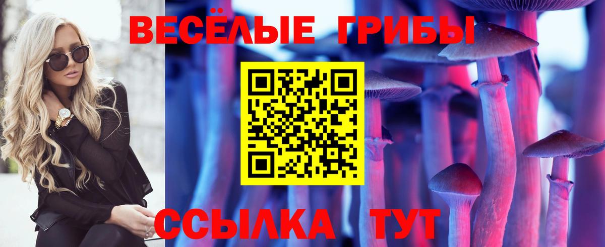 Псилоцибиновые грибы Psilocybine cubensis Отрадный